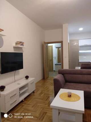 Апартаменты Apartman Cimbaljevic Тиват Апартаменты с 1 спальней-1